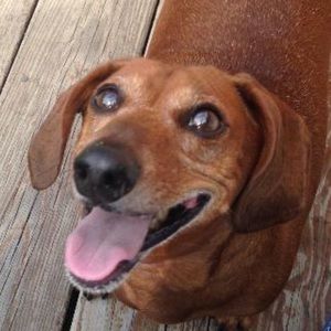 Meet your Posher, Farrah